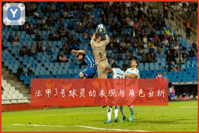 法甲3号球员的表现与角色分析
