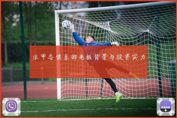 法甲各俱乐部老板背景与投资实力