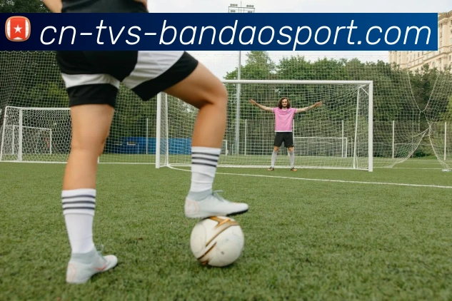 半岛体育发展历程